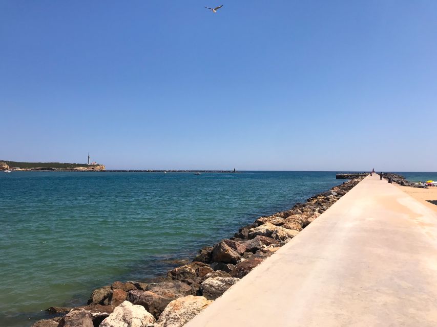 Portimão: 1.25-Hour Segway Tour - Key Points That Matter Before You Go
