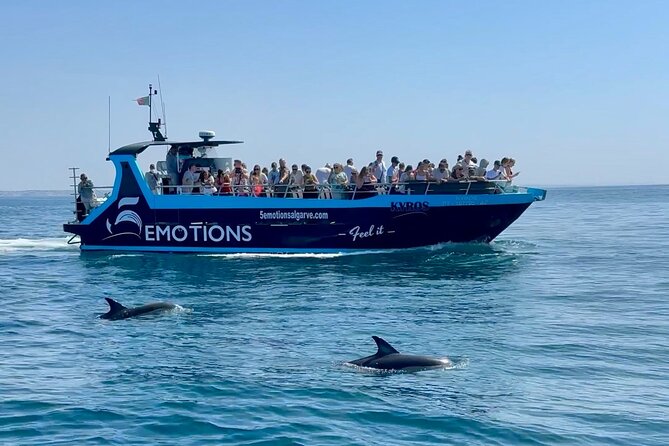 Portimão : 2.5 hours — Dolphins Watching — Biologist on Board - Key highlights you’ll feel on day one