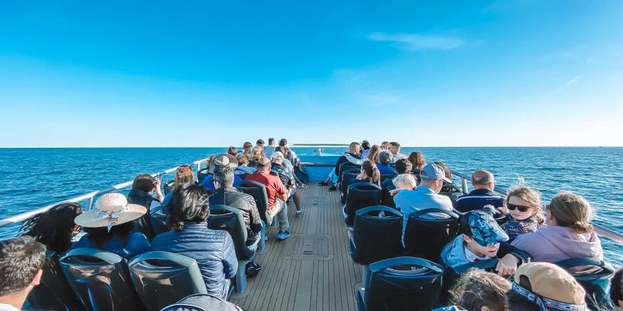 Portimão: Benagil Caves & Dolphins Watching with Biologist - From Portimão to Marinha Beach: the part you will remember first