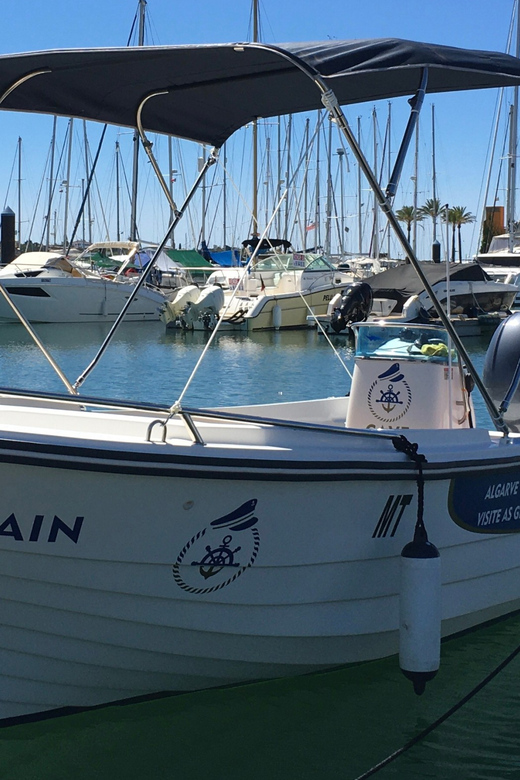 Portimão: Caves, Benagil and Algarve Coastline Boat Tour - What to bring so you don’t waste time