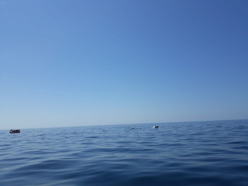 Portimão: Dophin Watching on the Algarve Coast - Clube Naval de Portimão to Open Water: A 132-Minute Sail