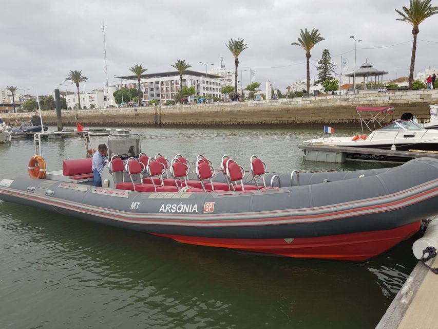 Portimão: Dophin Watching on the Algarve Coast - Safety at Sea: Life Vests and a Professional Crew