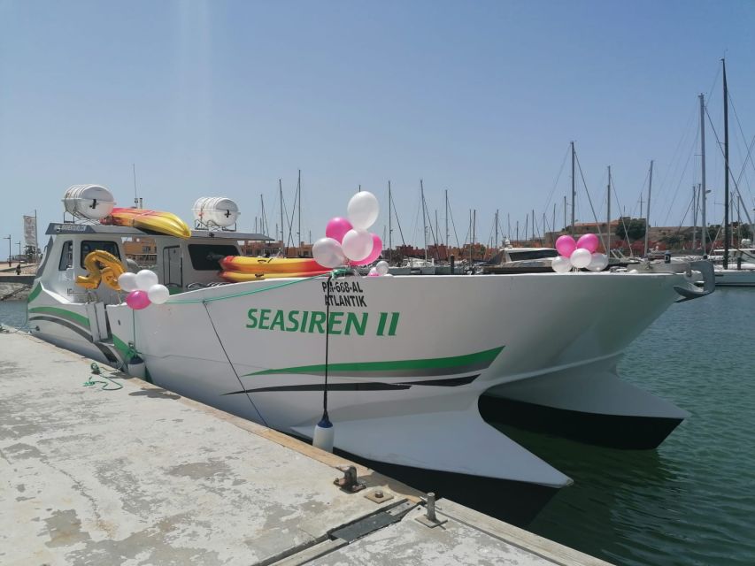 Portimão: Private Benagil Caves Catamaran and Kayak Tour - Why the kayak at Benagil feels different than a standard boat ride