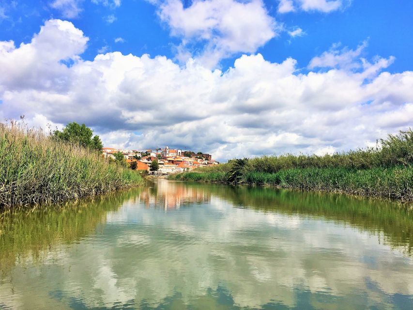 Portimão: Silves & Arade River History Tour on a Solar Boat - Tide timing: the practical reality of going with the flow