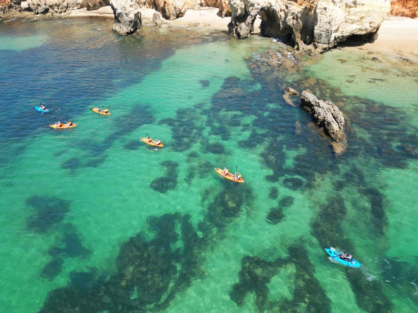 Portimão: Small Group Kayak Cave and Cliff Tour - Two Hours of Guided Paddling Along Algarve Cliffs