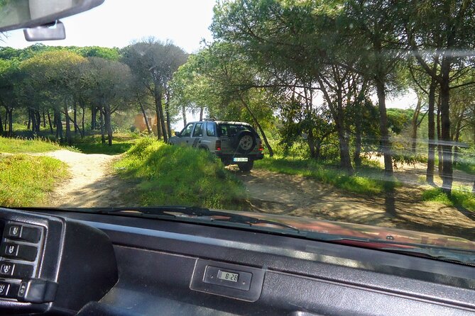 Private Algarve Tour with Typical Lunch, pax min. 2. - First Impressions: Picking Up in Alvor and Getting Out of the Usual Route