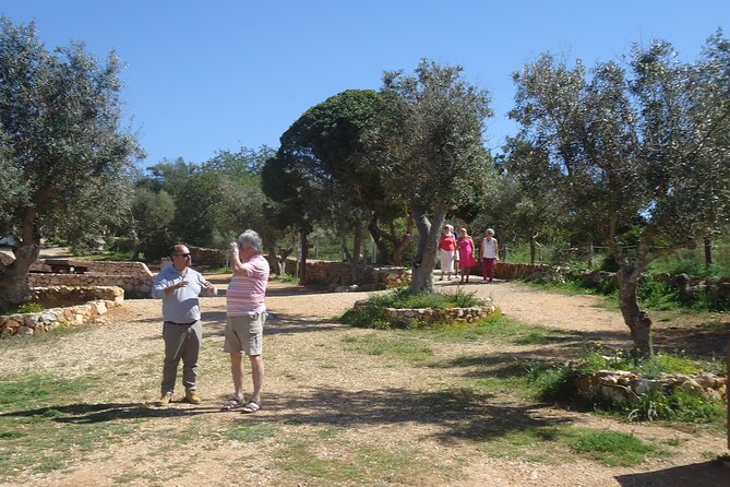 Private Algarve Tour with Typical Lunch, pax min. 2. - Stops 5 and 6: Barranco do Demo’s Suspended Bridge, Then Alferce Lunch and Medronho