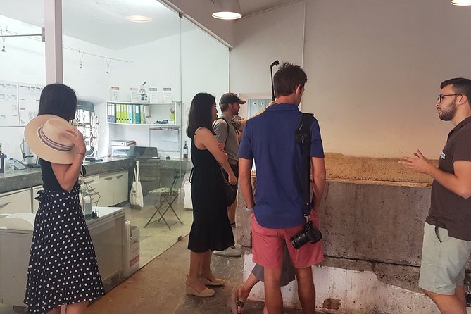 Private Algarve Wines Route - Quinta do Frances in Silves: guided process and a proper first tasting