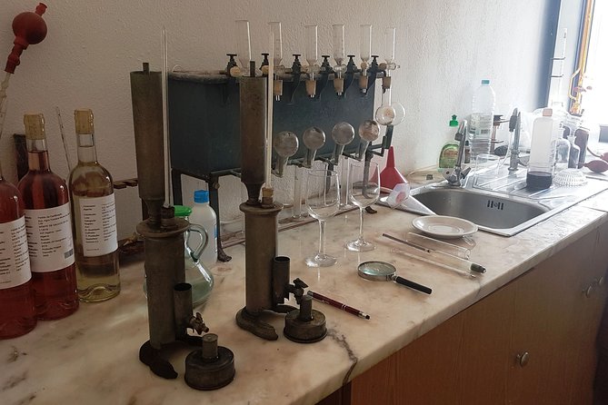Private Algarve Wines Route - What to expect from tastings, food, and the pace