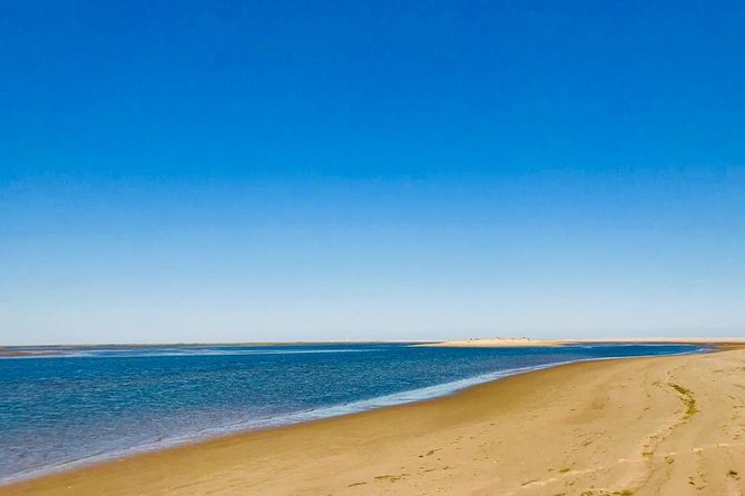 Private Catamaran Boat Tour - Ria Formosa - What makes Ria Formosa special, inlets, birds, and working water