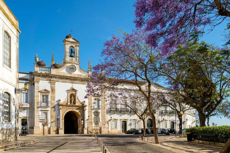 Private Faro Tour: Old Town, Bone Chapel & Ria Formosa - Sé de Faro Cathedral: Tower Views Worth the Ticket Cost