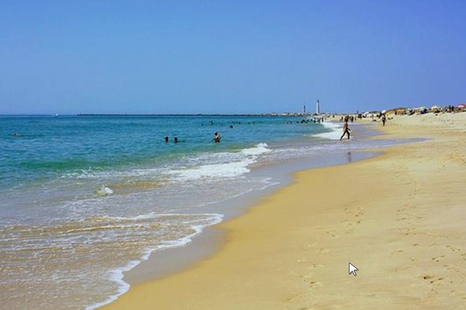 Private Half-Day Boat Tour in Ria Formosa from Faro - Tides and the return to Faro, why the last hour feels different