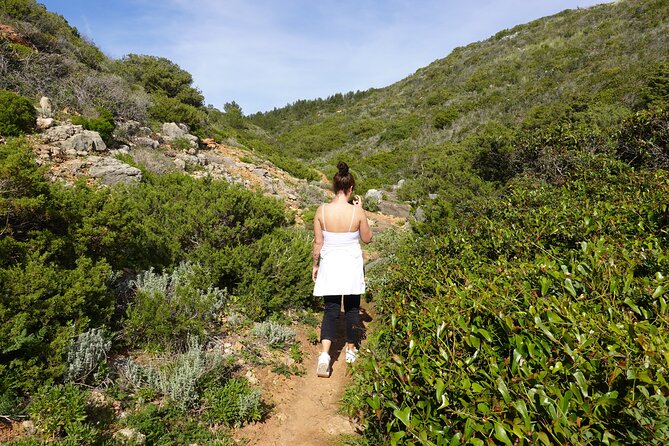 Private Hiking Tour along the last wild side of the south coast - Zavial Beach Finish: Surf-Famous, Relaxed, And Picnic-Ready