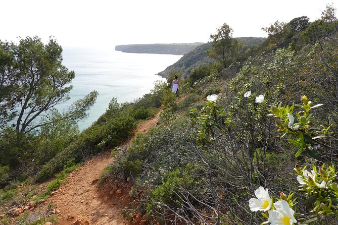 Private Hiking Tour along the last wild side of the south coast - Price and What You Get For $453.79 Per Group