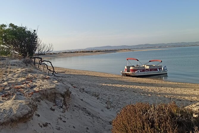 Private Ria Formosa Natural Park Boat Cruise from Faro - Price and value: what $482.73 per group really means