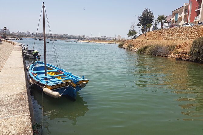 Private Sardine Route - Portimão - Conserveira do Arade: How Sardines Become Flavors