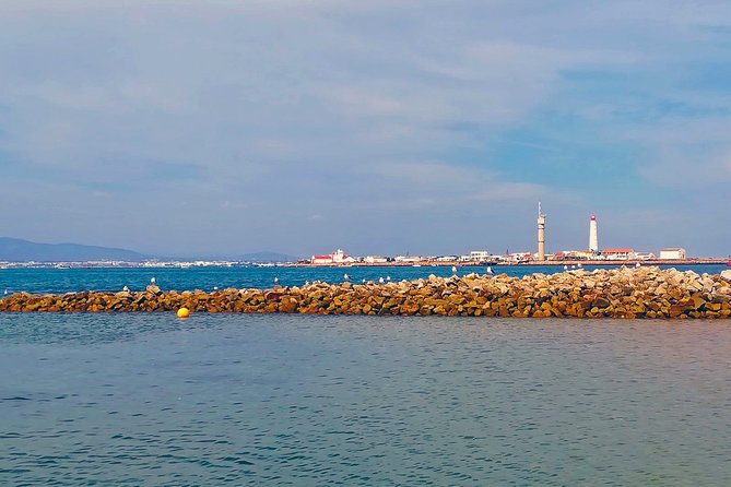 Private Sightseeing Boat Tour in Ria Formosa at Olhão - Praia da Armona island beach break: swim time and crowd-free breathing room