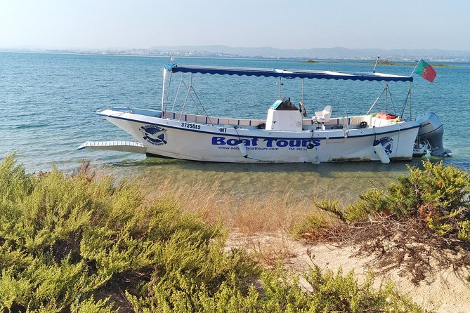 Private Sightseeing Boat Tour in Ria Formosa at Olhão - Ilha da Culatra: a small fishermen village stop with real everyday life