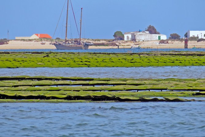 Private Sightseeing Boat Tour in Ria Formosa at Olhão - What you get included, and what you should plan for yourself