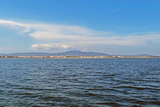 Private Sightseeing Boat Tour in Ria Formosa at Olhão - Your skipper turns the lagoon into a living story (not just scenery)