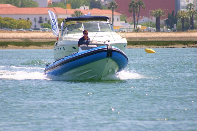 Private Speed Boat Tour - 1 Hour - Ria Formosa - Key highlights you will feel on this 1-hour ride