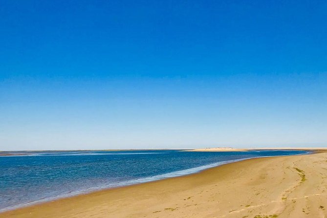 Private Speed Boat Tour - 1 Hour - Ria Formosa - Beach stops: why that matters more than you think