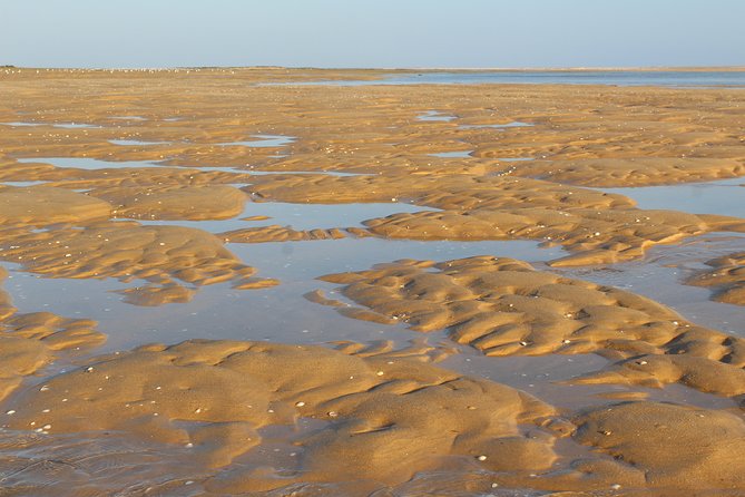 Private Speed Boat Tour - 1 Hour - Ria Formosa - What to bring and how to time this day in Faro
