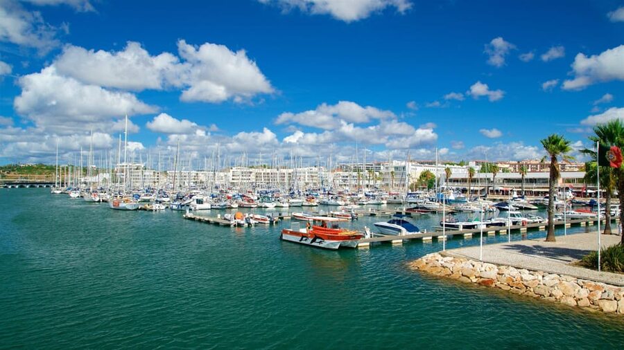 Private Tour Algarve Premium - Lagos Marina and historic city feel without the time sink