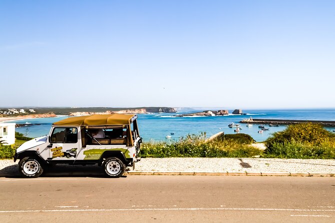 Private Tour to Sagres (Half Day) - What Mauro-Style Guidance Really Means on This Trip