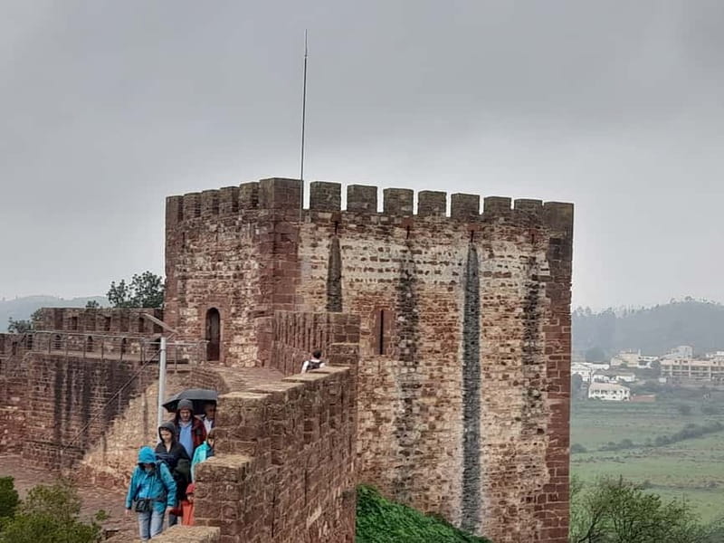Private Tour To Silves Castle and Monchique - The Drive to Fóia: Eucalyptus and Pine on the Climb to 902 Meters