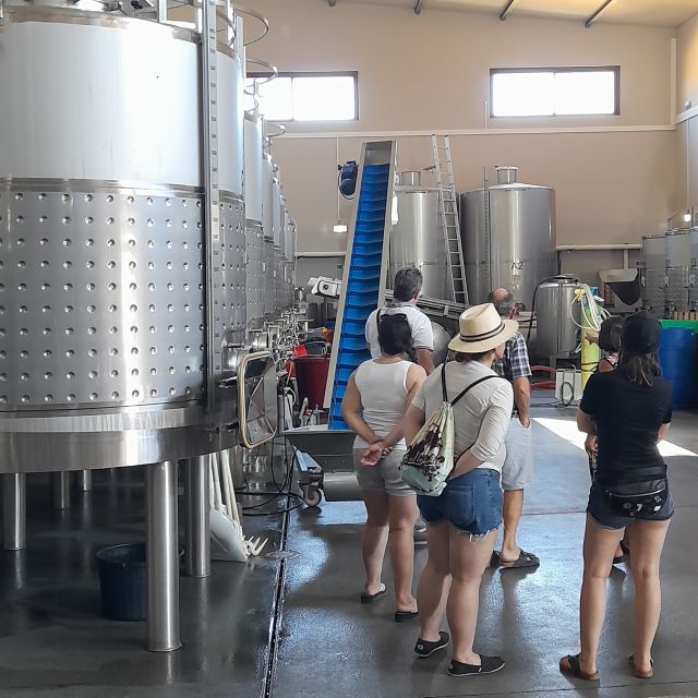 Private Tour to Silves Castle Whith Algarvian Wine Tasting - The Castle of Silves: medieval walls, 8th to 13th century scale, and practical planning