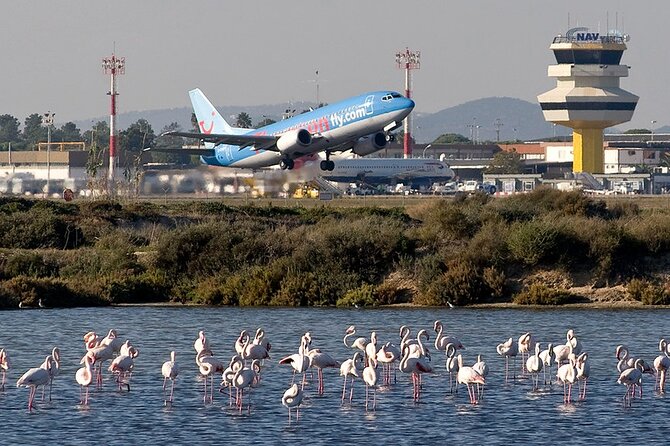 Private Transfer from Faro Airport to Albufeira - Key highlights to look for