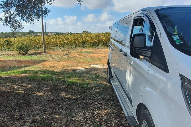 Private transfers between Faro and Portimão/Praia da Rocha - Timing: waiting rules that actually affect your day