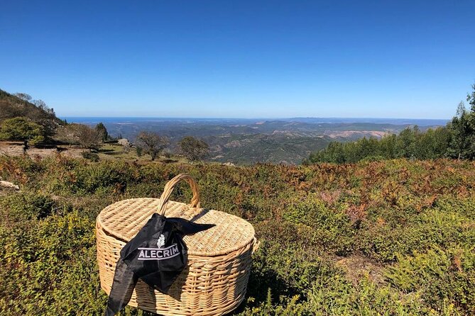 Private Typical Portuguese Picnic in Serra de Monchique - Who this picnic suits best in the Algarve area