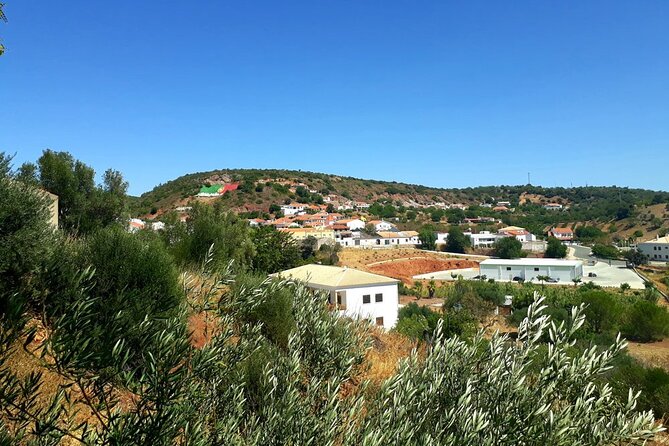 Quad Biking Sightseeing Tour in Albufeira - Quad biking in the Algarve outback: what 55 to 60 km really delivers