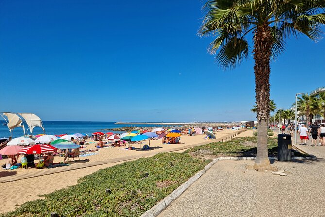 Quarteira and Vilamoura Half Day Tour - Stop 2 at Marina de Vilamoura, 30 minutes for your first harbor impression