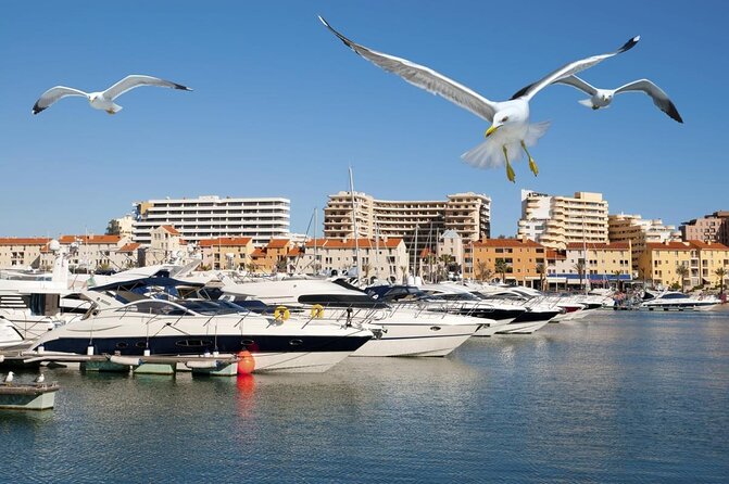 Quarteira Town & Gypsy Market Tour with Beach Bliss - Key Points I’d Plan Around