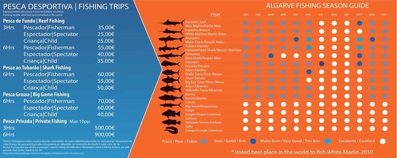 Reef Fishing in Vilamoura - Key Points You’ll Care About Before You Go