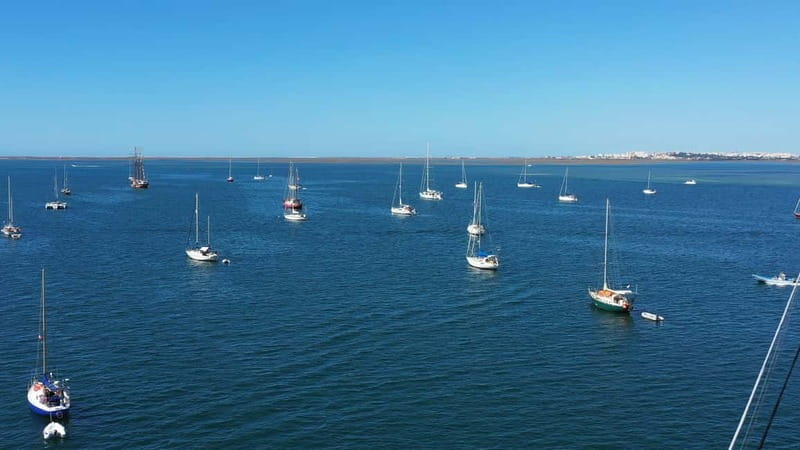 Ria Formosa: Armona and Culatra Islands 3-Hour Boat Tour - Key things I’d plan around