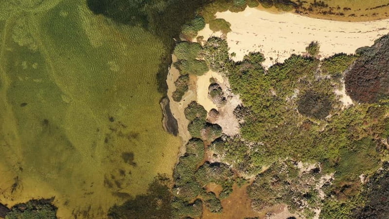 Ria Formosa: Armona and Culatra Islands 3-Hour Boat Tour - The ride through the park: marshes, sandbars, and oyster country