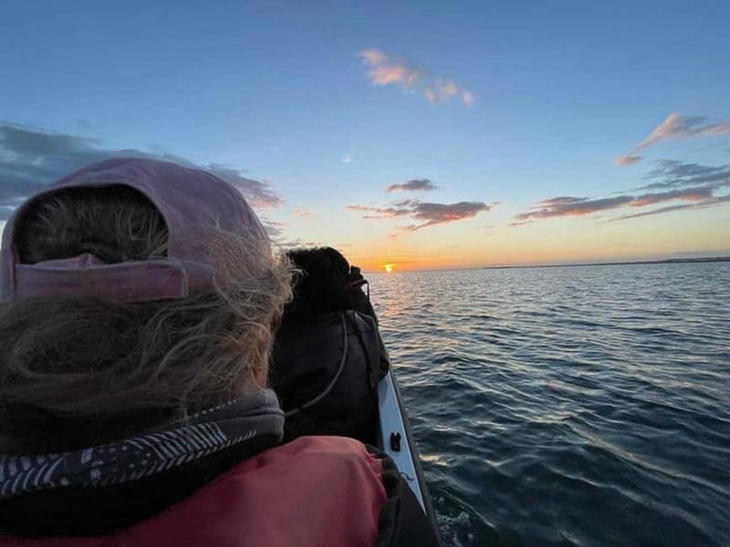 Ria Formosa: Armona and Culatra Islands 3-Hour Boat Tour - Culatra Island: car-free life and a sustainability story