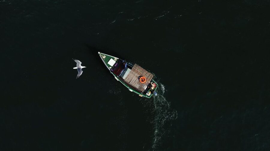 Ria Formosa: Armona and Culatra Islands 3-Hour Boat Tour - Armona Island and Praia Deserta: calm beaches, better photos