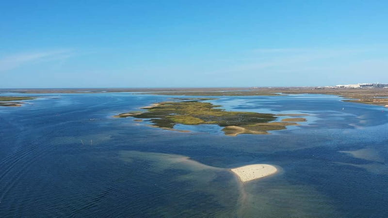Ria Formosa: Armona and Culatra Islands 3-Hour Boat Tour - How the tour runs in real time, and what to expect from your captain