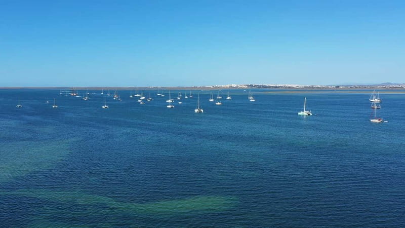 Ria Formosa: Armona and Culatra Islands 3-Hour Boat Tour - Price and value: why $35 can make sense here