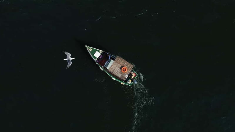 Ria Formosa: Armona and Culatra Islands 3-Hour Boat Tour - Who should book this, and who might want another option