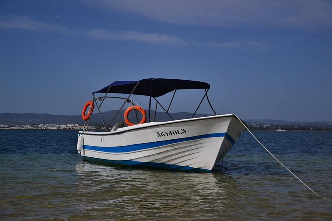 Ria Formosa - Boat trip to the 3 Islands: Armona | Culatra Island | Lighthouse - Meeting at ODYSSEY in Olhão, and what starts your day
