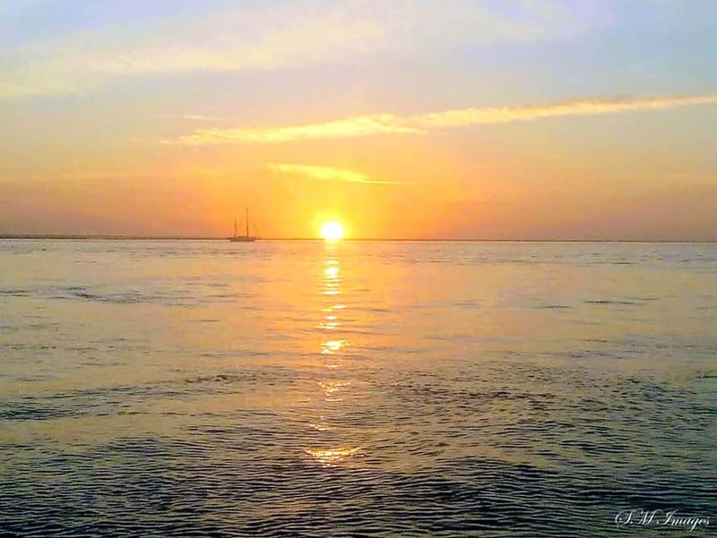 Ria Formosa Bout Tour with sunset - Olhão - Key highlights worth planning for