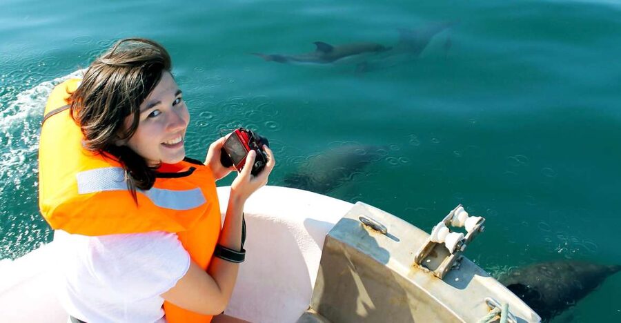 Ria Formosa: Dolphin-Watching Boat Tour - Dolphins, Flying Fish, Sea Turtles: What You Can Actually Expect to Spot