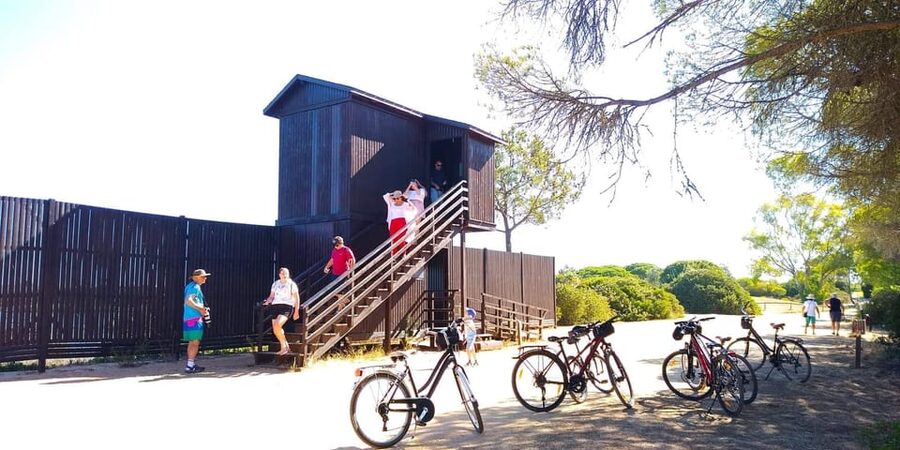 Ria Formosa: Guided Bike Tour (3h), Início na Quinta do Lago - Price and value: $64 for bike, guide, water, and insurance