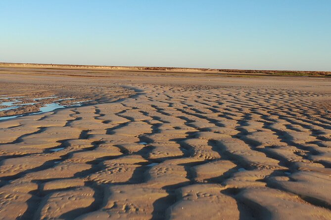 Ria Formosa & Islands : 2h00 Private Tour of Ria Formosa - Your English guide and the small-group vibe